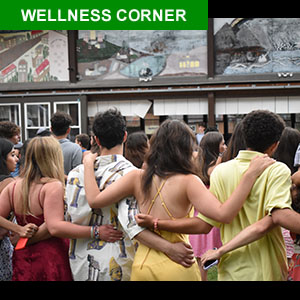 Wellness-Ecke 300
