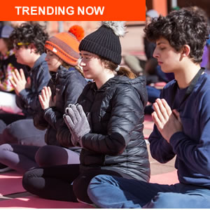 Trends Jan. 2020 300