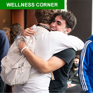 Wellness-Ecke 300A